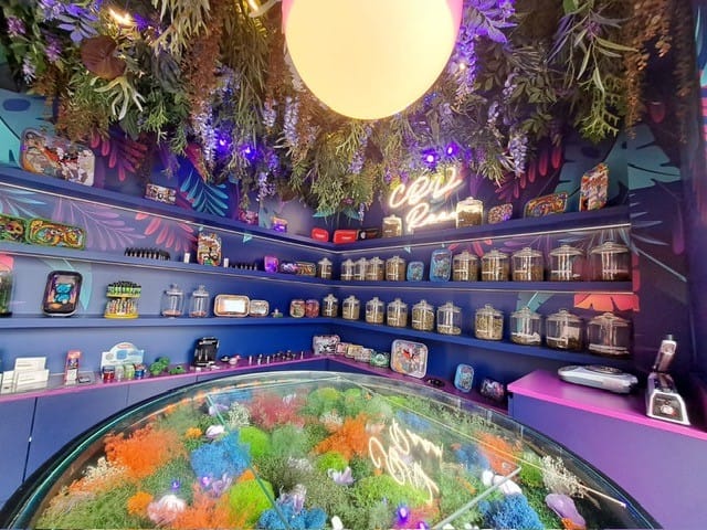 L'Amnésia - vape room