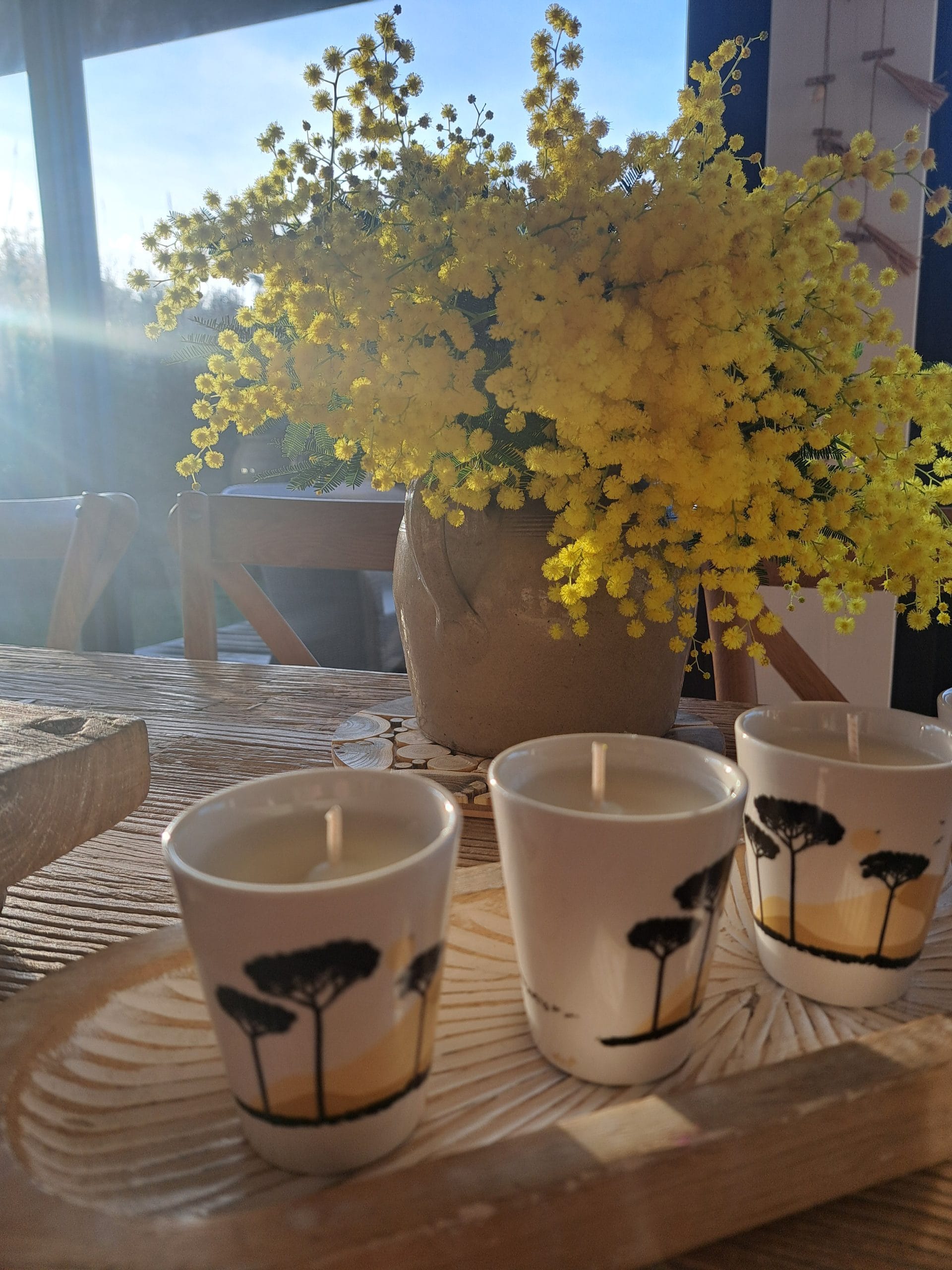 C' Cosy Chic - 20260128 093353 scaled