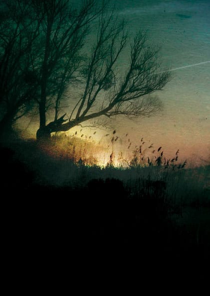 renaR expose chez Le Disc'air du Bassin - Couv10