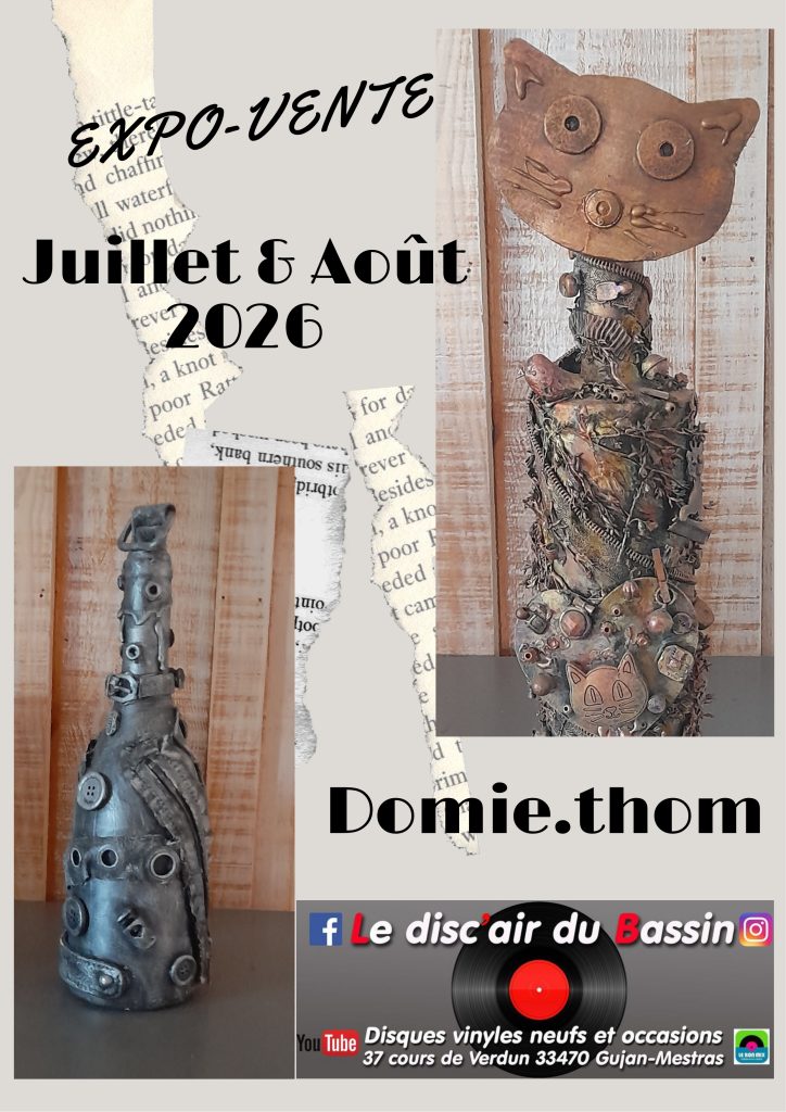 Domi.thom expose chez le Disc'air du Bassin! - expo domie 3 page 0001 2
